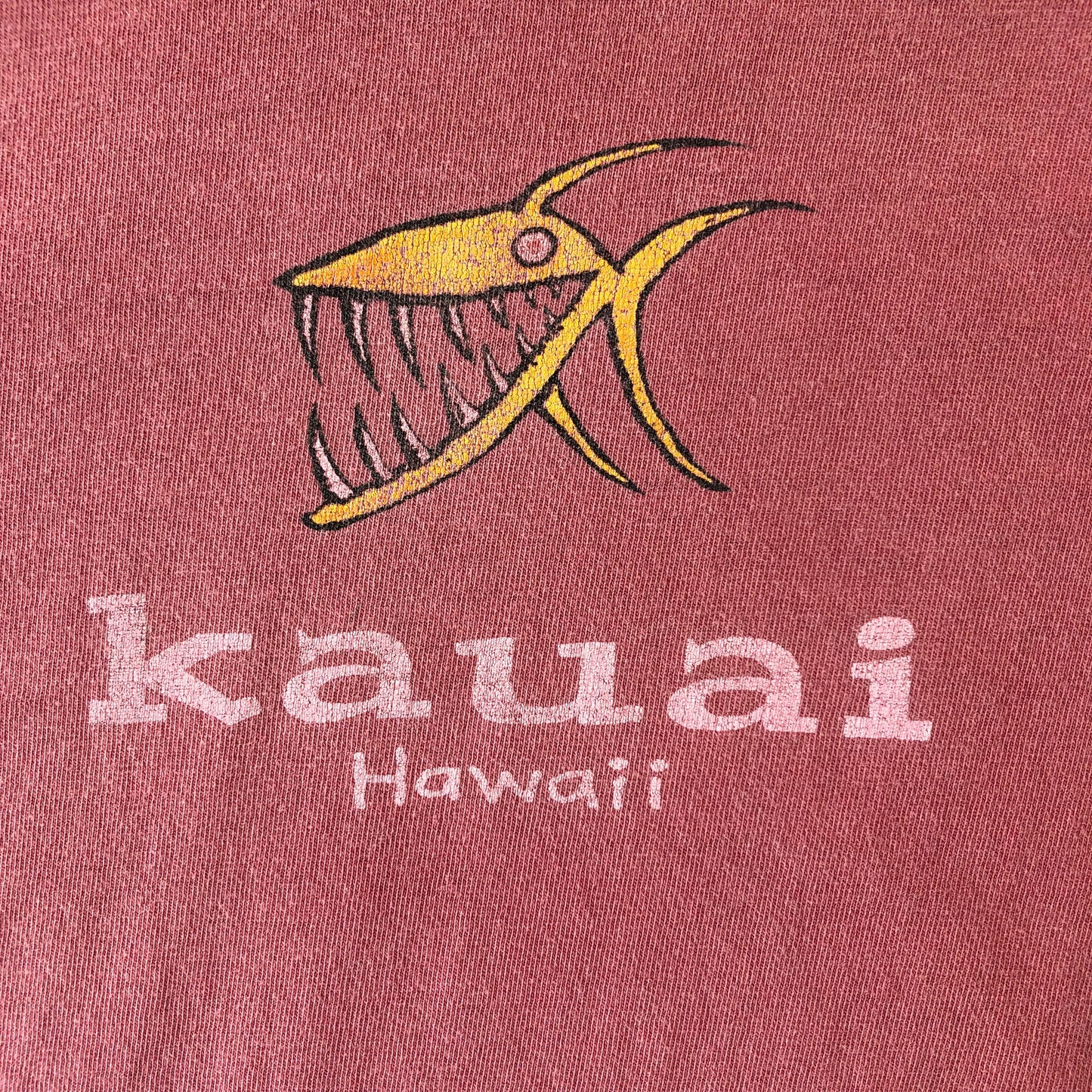 Kauai Hawaii T Shirt