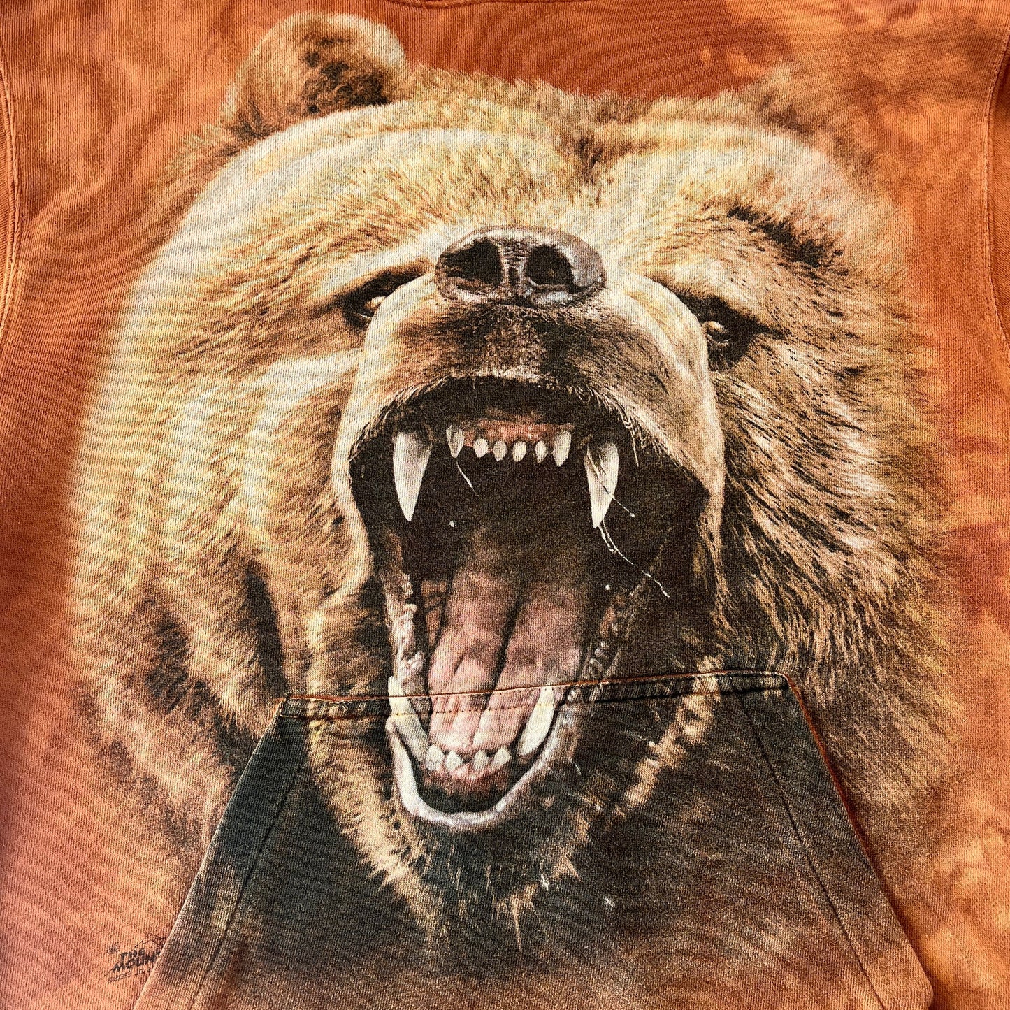 Comfort Colors Grizzly Bear Hoodie Sweatshirt S