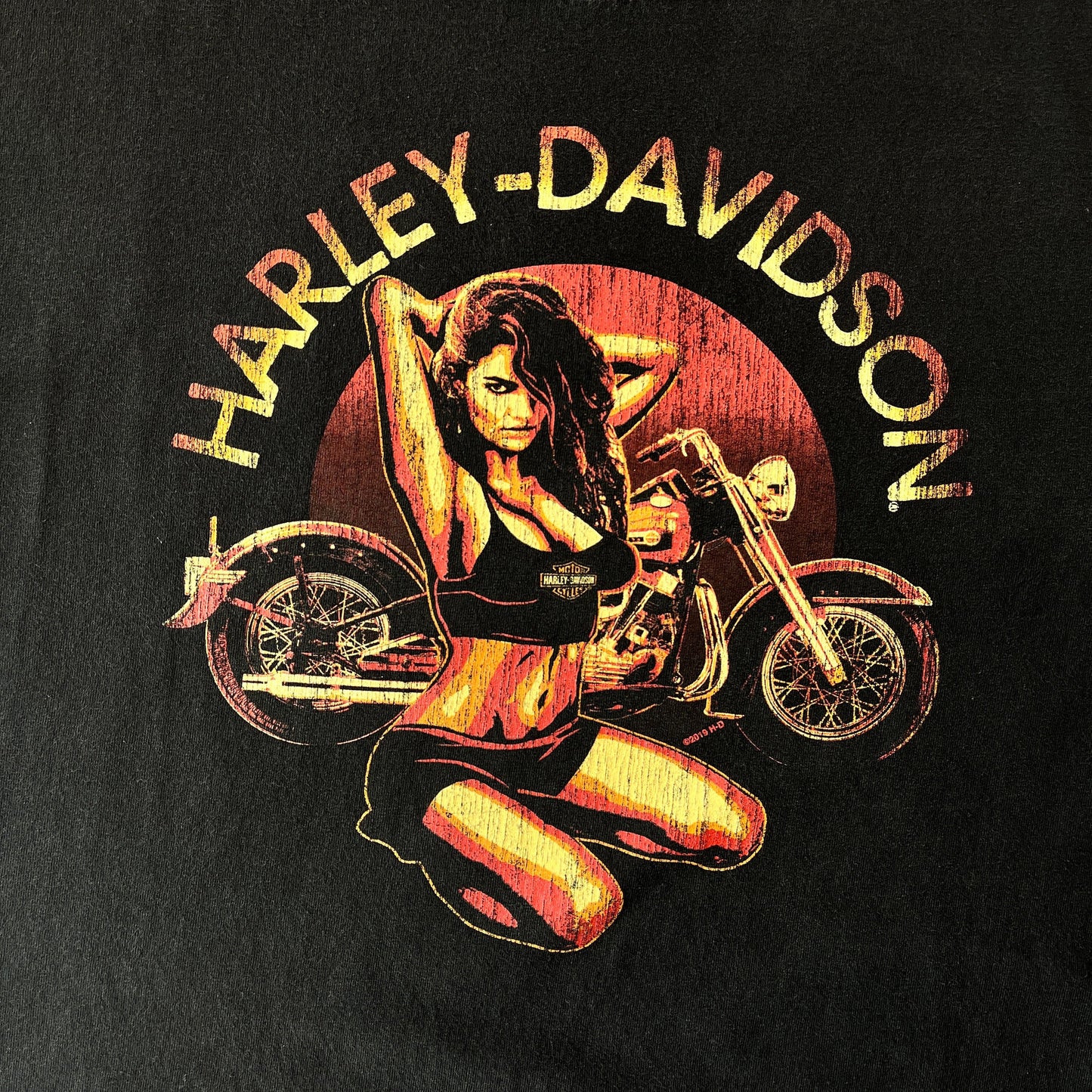 Harley Davidson Anchorage Alaska T Shirt